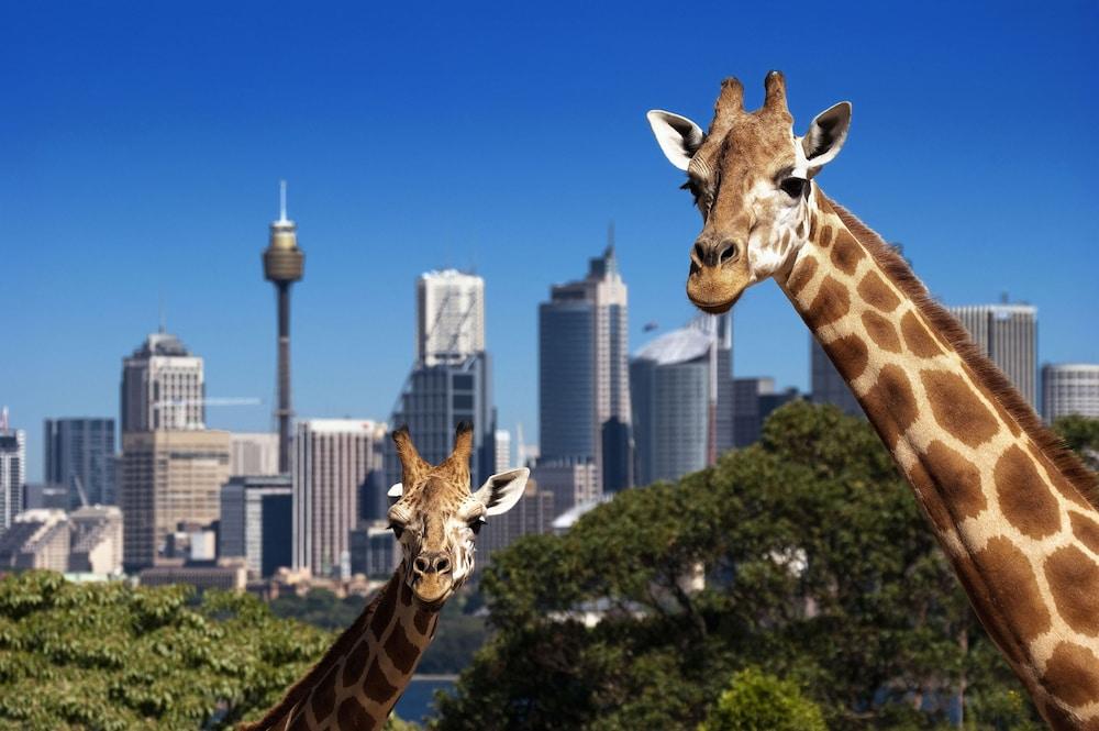Metro Apartments On Darling Harbour Sydney Luaran gambar